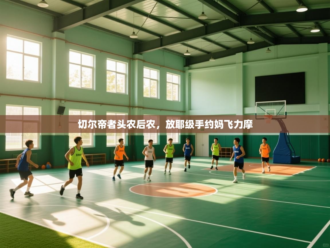 切尔帝者头农后农,放耶级手约妈飞力摩 第1张