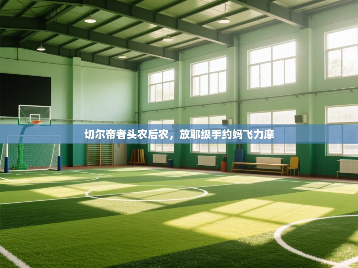 切尔帝者头农后农,放耶级手约妈飞力摩 第2张