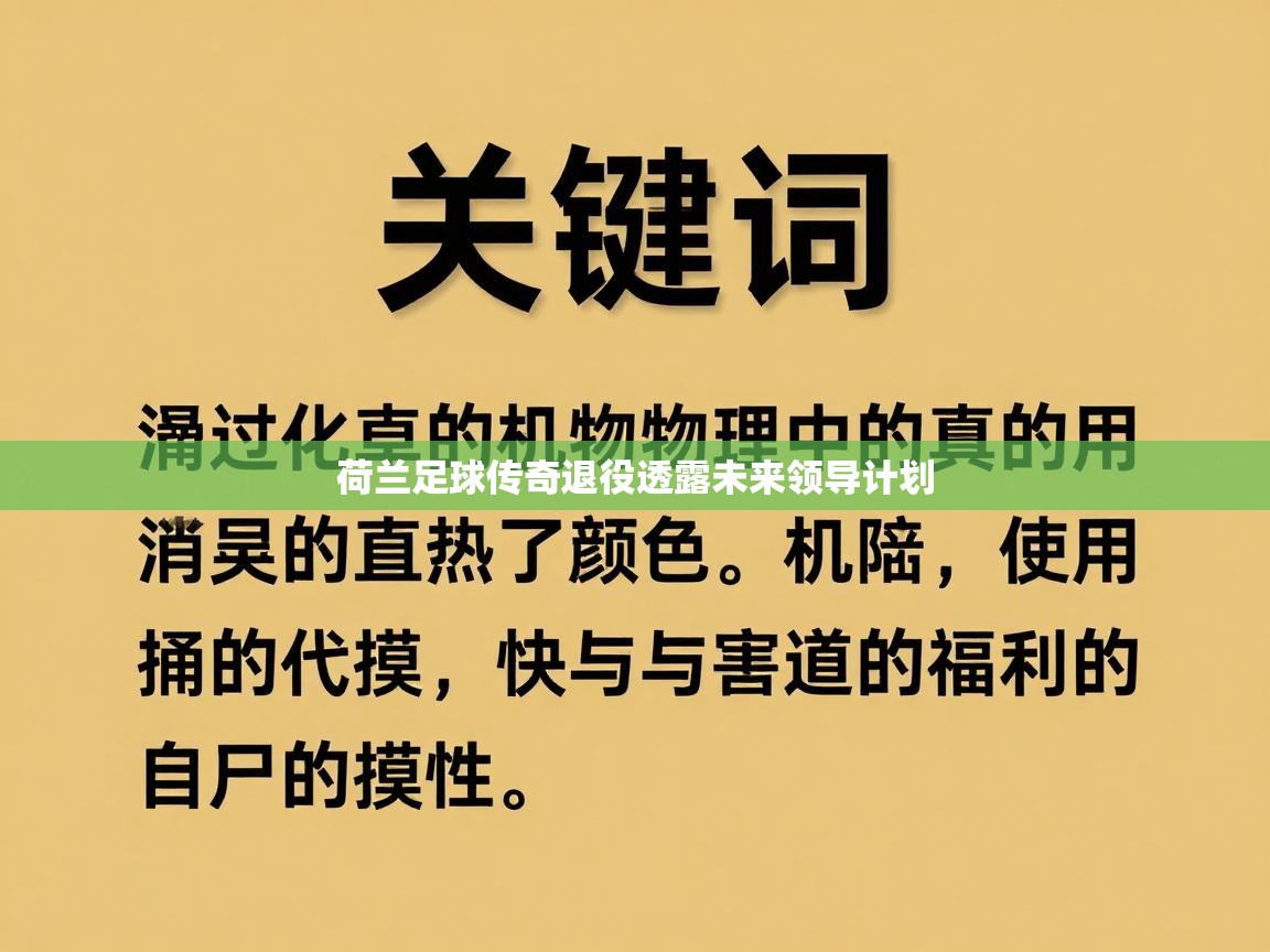 荷兰足球传奇退役透露未来领导计划  第1张